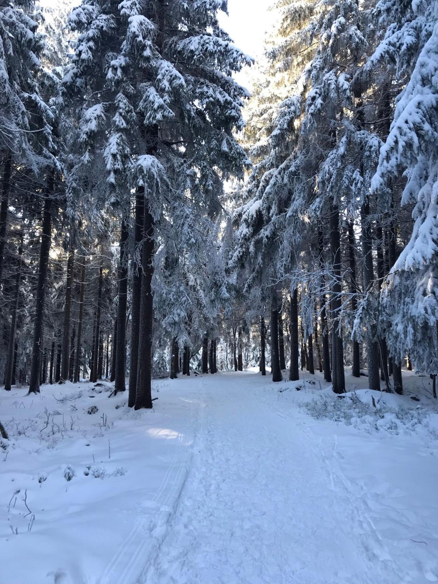Útulný apartmán v blízkosti Mumlavských vodopádů Harrachov Exterior foto