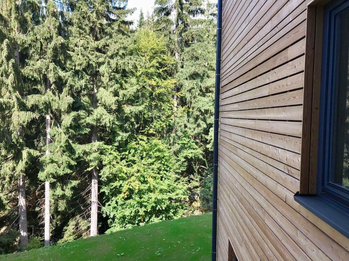 Útulný apartmán v blízkosti Mumlavských vodopádů Harrachov Exterior foto